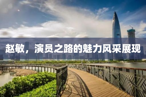 赵敏，演员之路的魅力风采展现