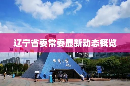 辽宁省委常委最新动态概览