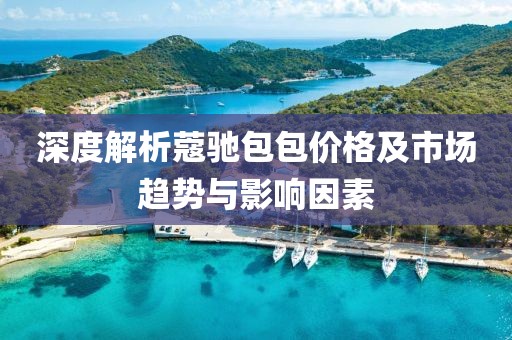 深度解析蔻驰包包价格及市场趋势与影响因素