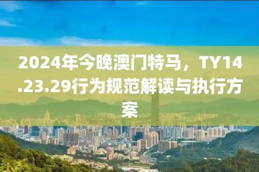 2024年今晚澳门特马，TY14.23.29行为规范解读与执行方案