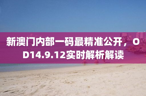 新澳门内部一码最精准公开，OD14.9.12实时解析解读
