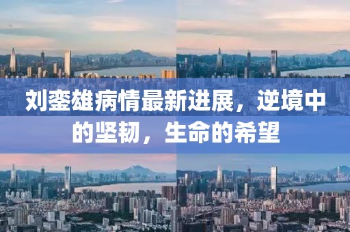刘銮雄病情最新进展，逆境中的坚韧，生命的希望