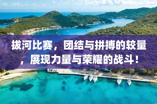 拔河比赛，团结与拼搏的较量，展现力量与荣耀的战斗！