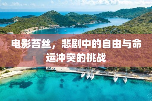 电影苔丝，悲剧中的自由与命运冲突的挑战