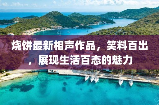 烧饼最新相声作品，笑料百出，展现生活百态的魅力
