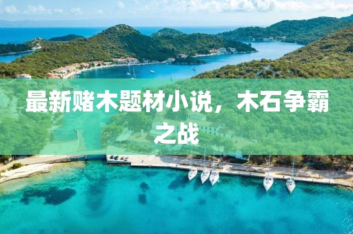 最新赌木题材小说，木石争霸之战