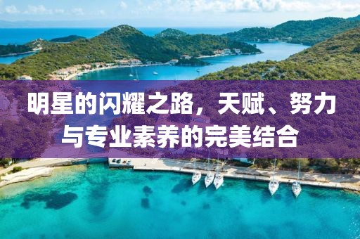 明星的闪耀之路，天赋、努力与专业素养的完美结合