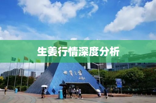 生姜行情深度分析