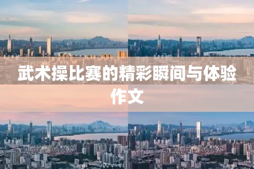 武术操比赛的精彩瞬间与体验作文