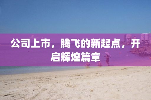 公司上市，腾飞的新起点，开启辉煌篇章