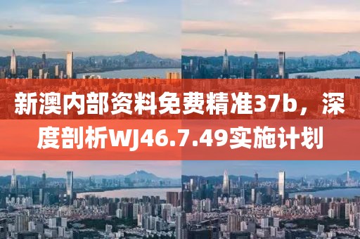 新澳内部资料免费精准37b，深度剖析WJ46.7.49实施计划