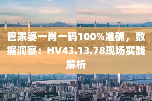 管家婆一肖一码100%准确，数据洞察：HV43.13.78现场实践解析