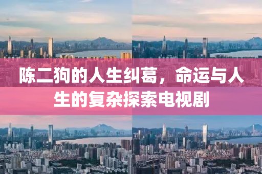 陈二狗的人生纠葛，命运与人生的复杂探索电视剧