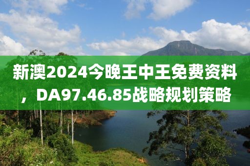 新澳2024今晚王中王免费资料，DA97.46.85战略规划策略