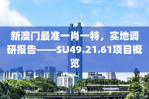 新澳门最准一肖一特，实地调研报告——SU49.21.61项目概览