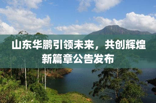 山东华鹏引领未来，共创辉煌新篇章公告发布