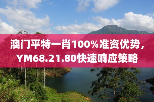 澳门平特一肖100%准资优势，YM68.21.80快速响应策略