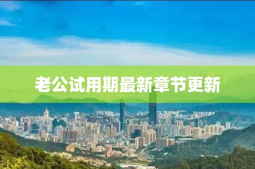 老公试用期最新章节更新