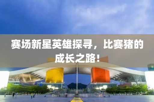 赛场新星英雄探寻，比赛猪的成长之路！