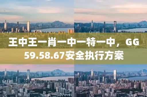 王中王一肖一中一特一中，GG59.58.67安全执行方案