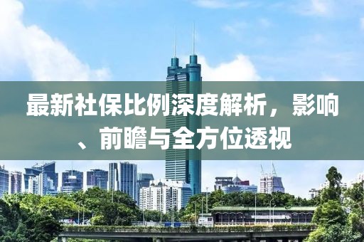 最新社保比例深度解析，影响、前瞻与全方位透视