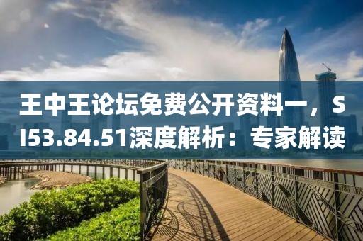 王中王论坛免费公开资料一，SI53.84.51深度解析：专家解读