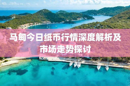 马甸今日纸币行情深度解析及市场走势探讨
