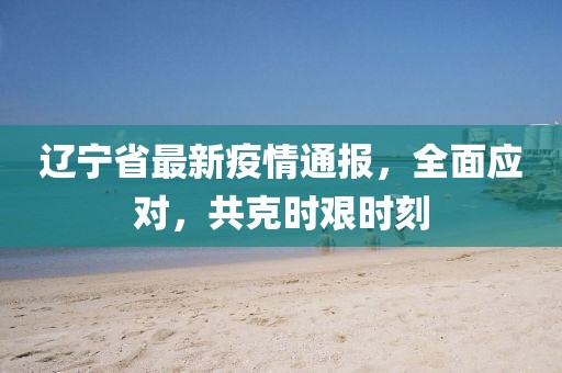 辽宁省最新疫情通报，全面应对，共克时艰时刻