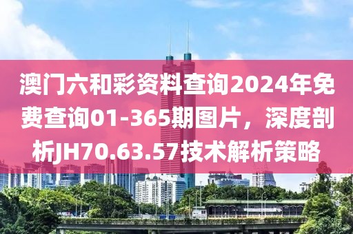 澳门六和彩资料查询2024年免费查询01-365期图片，深度剖析JH70.63.57技术解析策略