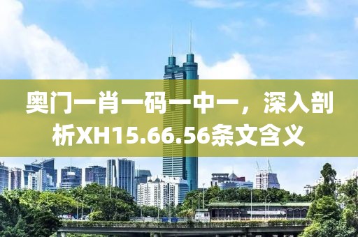 奥门一肖一码一中一，深入剖析XH15.66.56条文含义