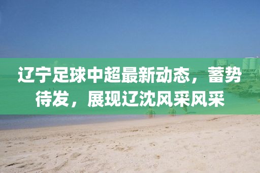 辽宁足球中超最新动态，蓄势待发，展现辽沈风采风采