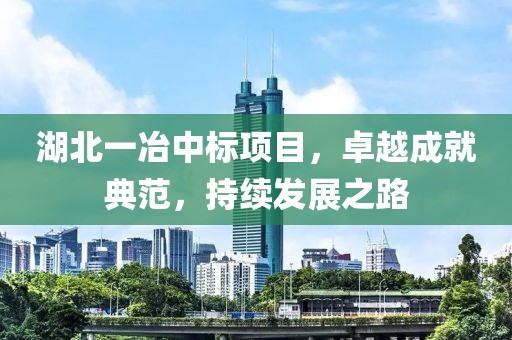 湖北一冶中标项目，卓越成就典范，持续发展之路