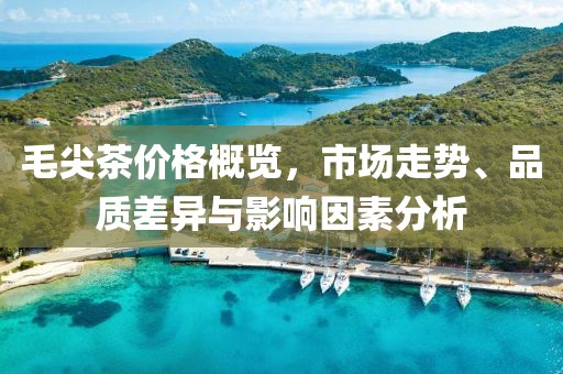 毛尖茶价格概览，市场走势、品质差异与影响因素分析