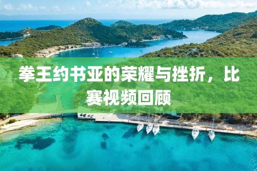 拳王约书亚的荣耀与挫折，比赛视频回顾