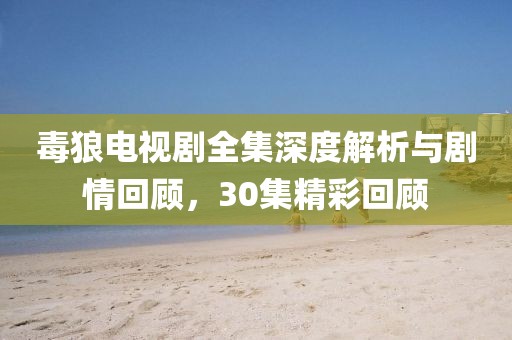 毒狼电视剧全集深度解析与剧情回顾，30集精彩回顾