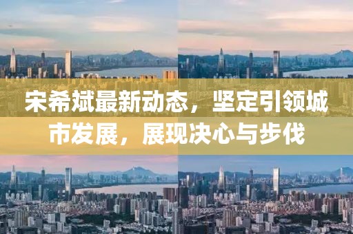 宋希斌最新动态，坚定引领城市发展，展现决心与步伐