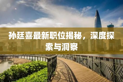 孙廷喜最新职位揭秘，深度探索与洞察