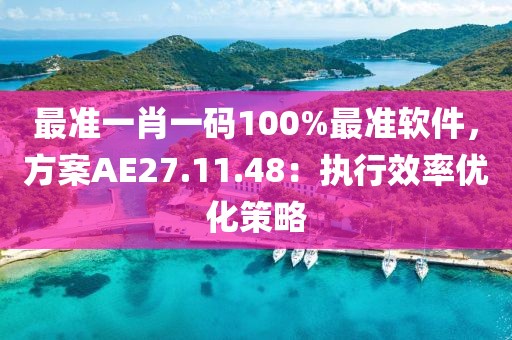 最准一肖一码100%最准软件，方案AE27.11.48：执行效率优化策略