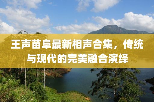 王声苗阜最新相声合集，传统与现代的完美融合演绎