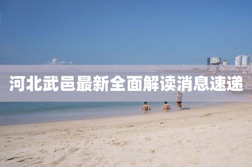 河北武邑最新全面解读消息速递