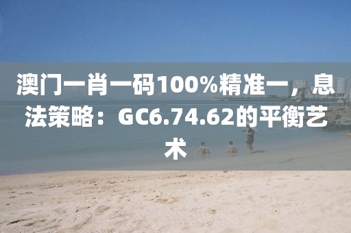 澳门一肖一码100%精准一，息法策略：GC6.74.62的平衡艺术