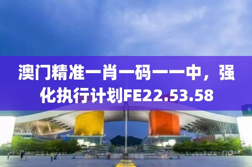 澳门精准一肖一码一一中，强化执行计划FE22.53.58