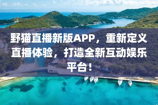 野猫直播新版APP，重新定义直播体验，打造全新互动娱乐平台！