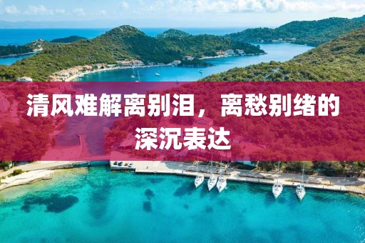 清风难解离别泪，离愁别绪的深沉表达