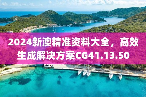 2024新澳精准资料大全，高效生成解决方案CG41.13.50