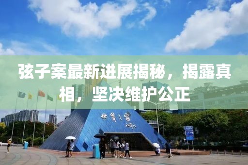 弦子案最新进展揭秘，揭露真相，坚决维护公正