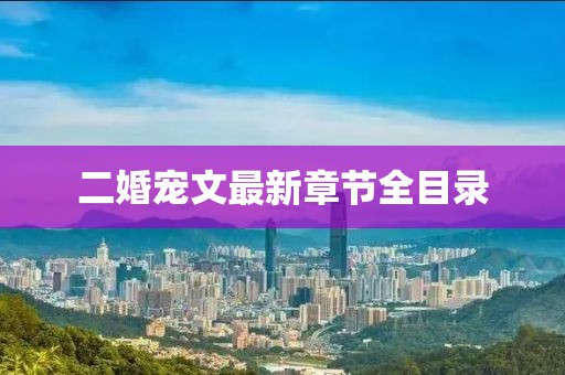 二婚宠文最新章节全目录