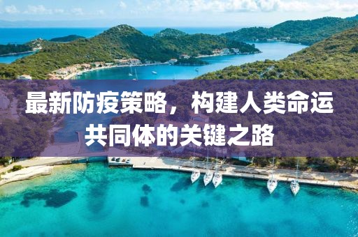 最新防疫策略，构建人类命运共同体的关键之路