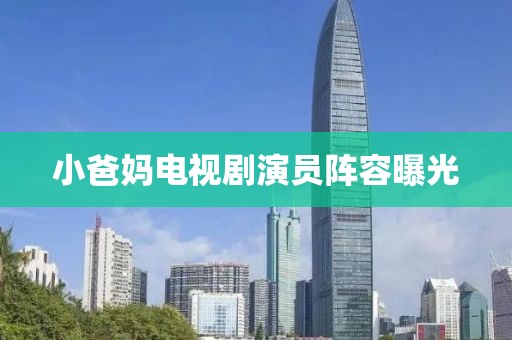 小爸妈电视剧演员阵容曝光