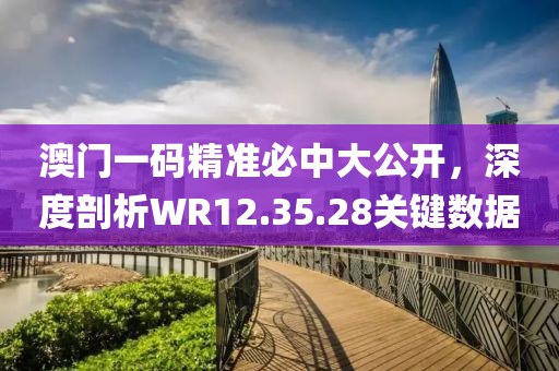 澳门一码精准必中大公开，深度剖析WR12.35.28关键数据
